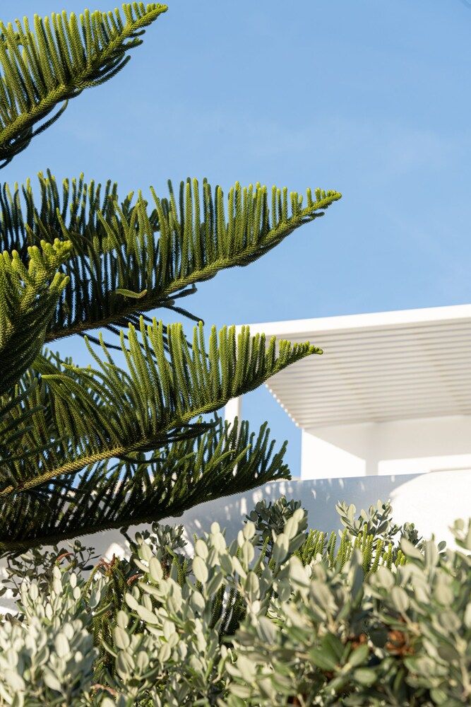 undefined Etesians Suites & Villas 8