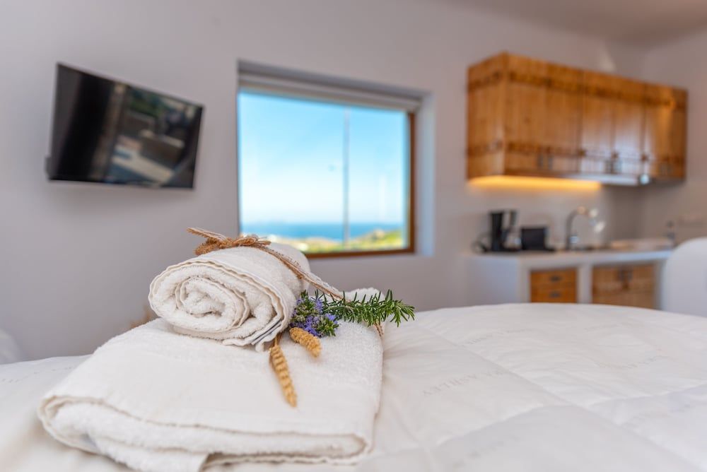 undefined Coral Suite 3