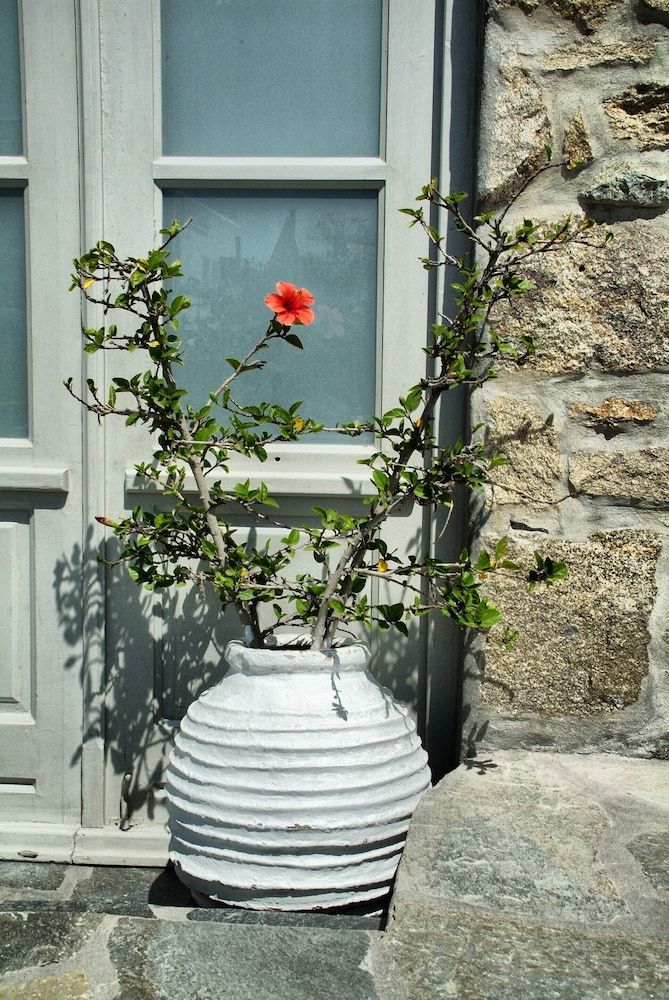 undefined Paola's Town Boutique Hotel 9