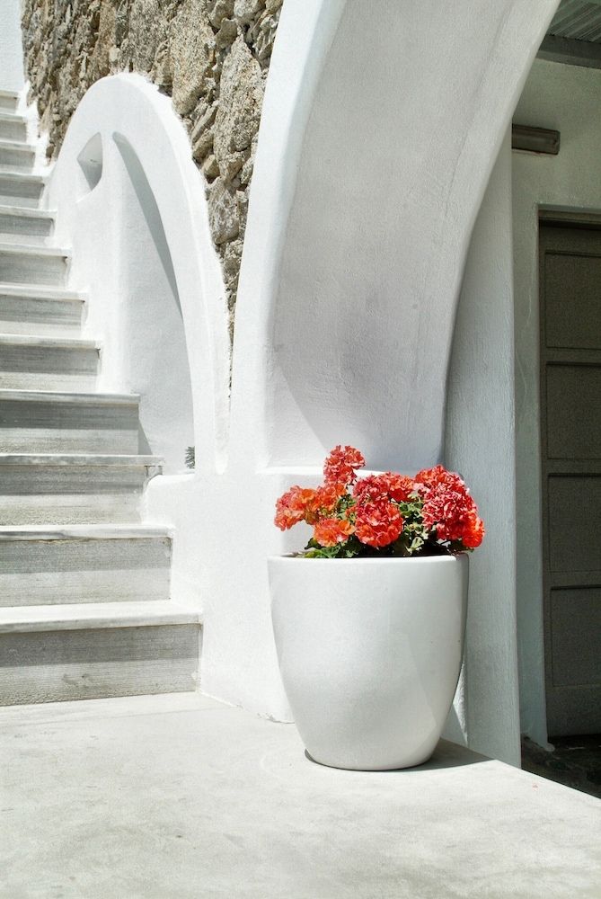 undefined Paola's Town Boutique Hotel 8