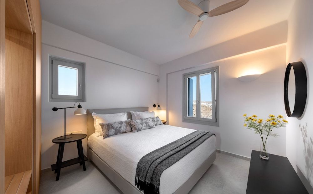 undefined Villa Frederica in Mykonos 5