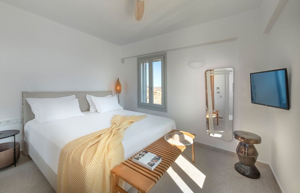 undefined Villa Frederica in Mykonos 3