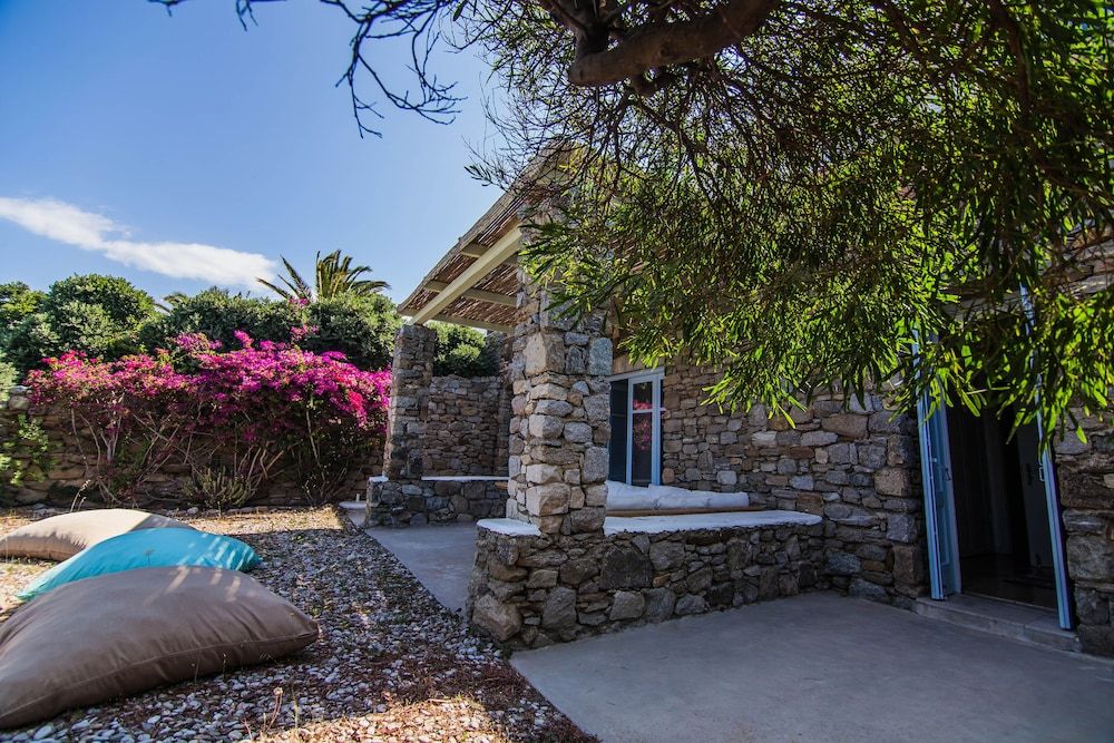 undefined Caribbean dream 5