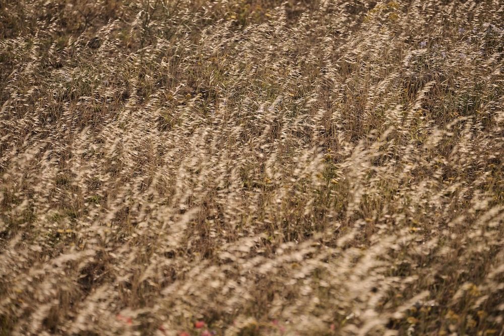 undefined Yi Hotel Mykonos 6