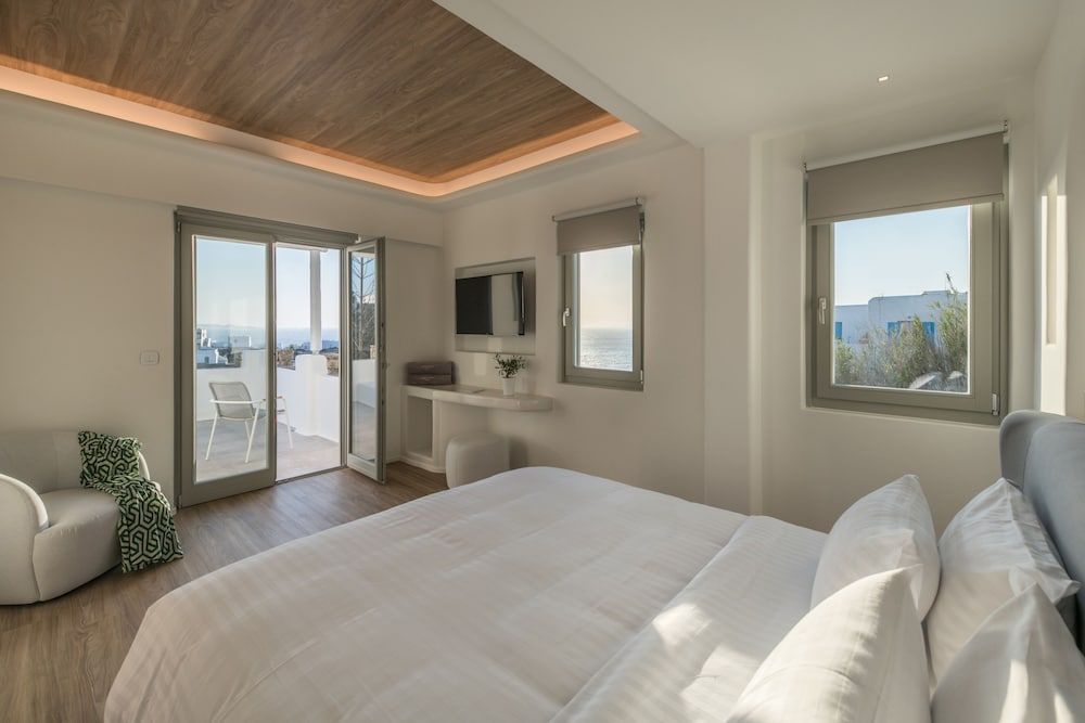 undefined Arocaria 5