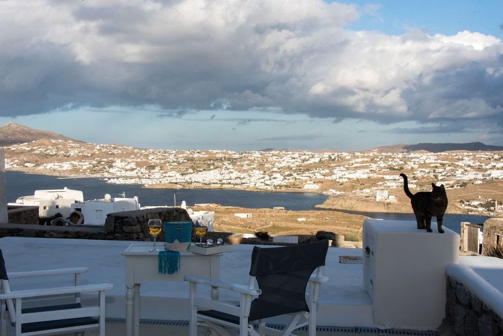 Elegant villa with ocean views & 2 pools Deluxe Villa 6