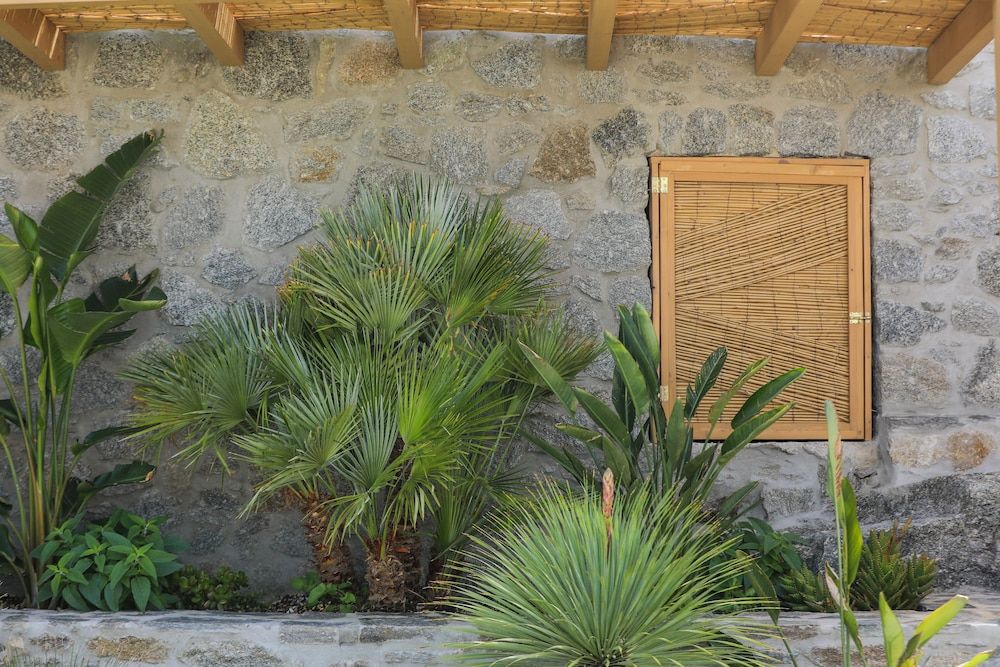 undefined Brilliance of Mykonos 6