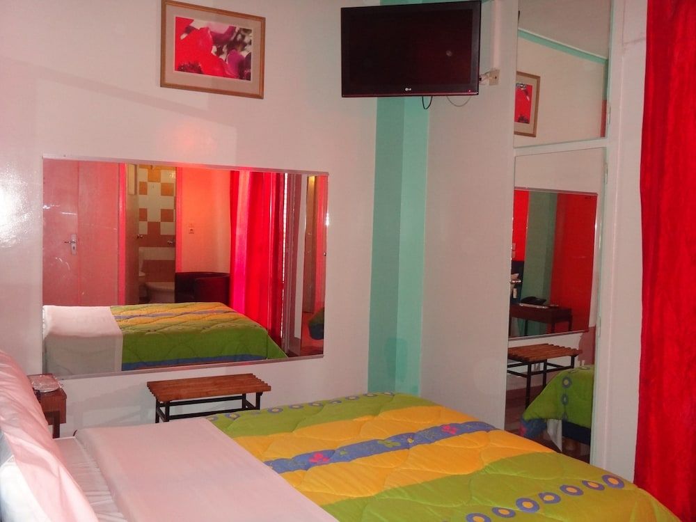 Hotel Frida Single Room 6