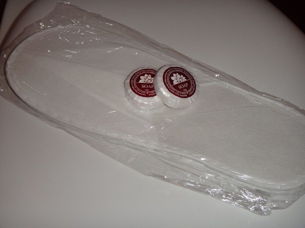 Hotel Frida Single Room 12