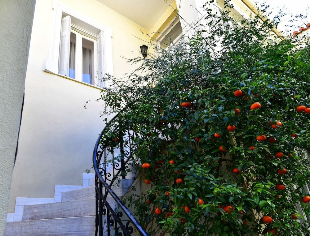 undefined Athens Authentic Elegance