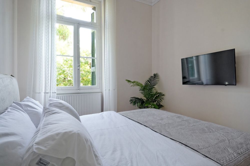 undefined The Athens History 8