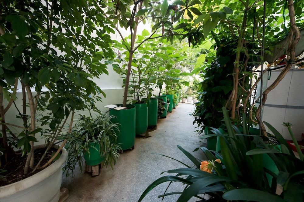 Garden Central Athinian Apartments Apartment 13