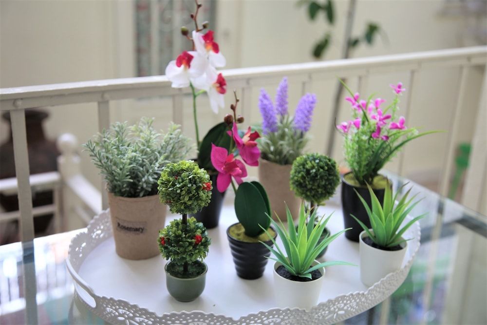 GK Thiseio House, Courtyard View 7