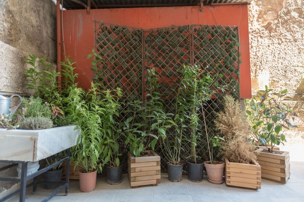 undefined Cozy Flat with Terrace & Patio near Lycabettus 2