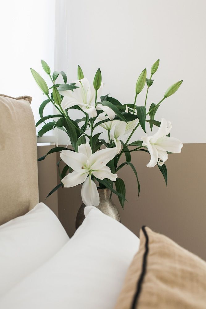 undefined Nephiria's Boho House with Acropolis View 6