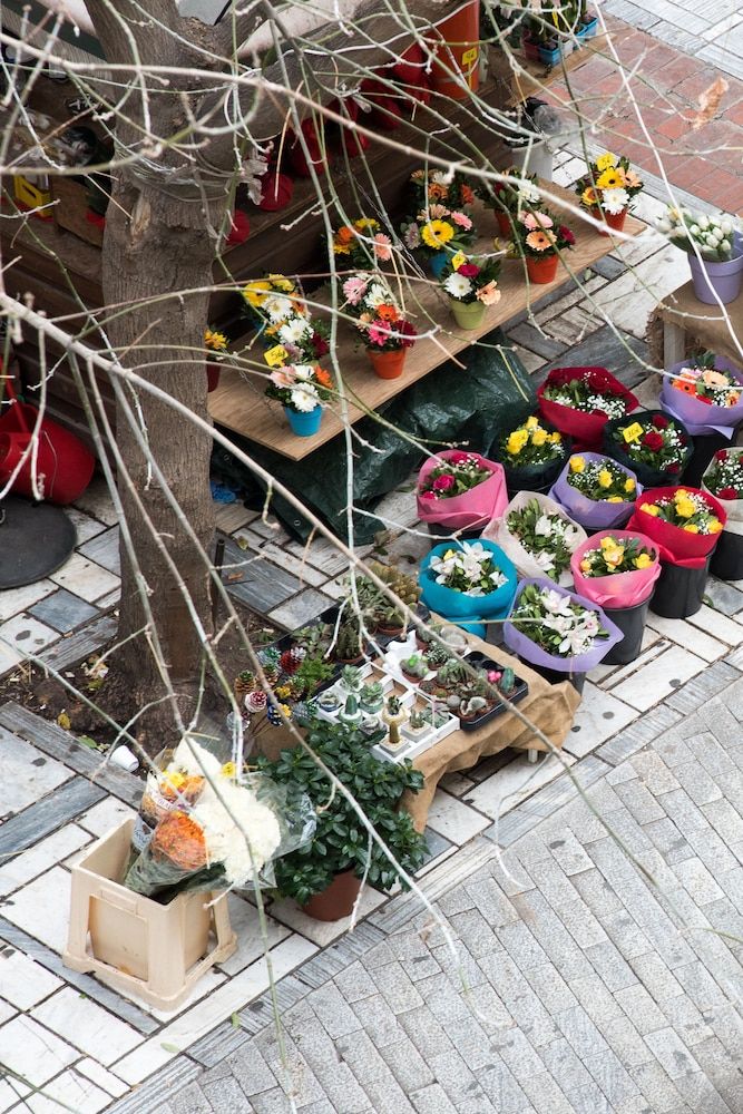 undefined CentraL44 OMG CasuaL Suite 3