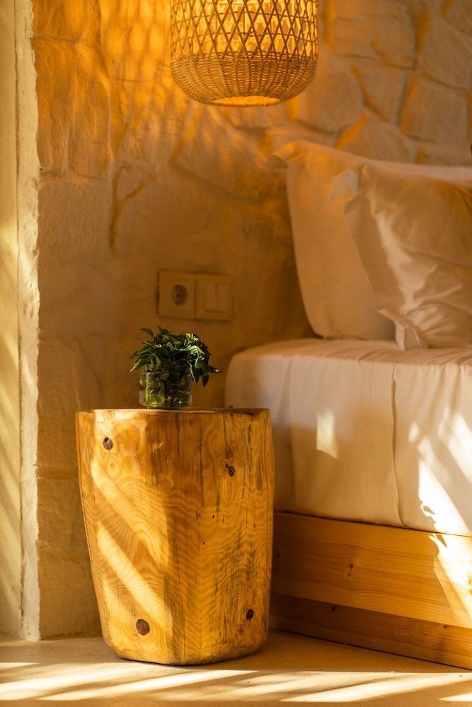 Premium Suite | Plunge Pool