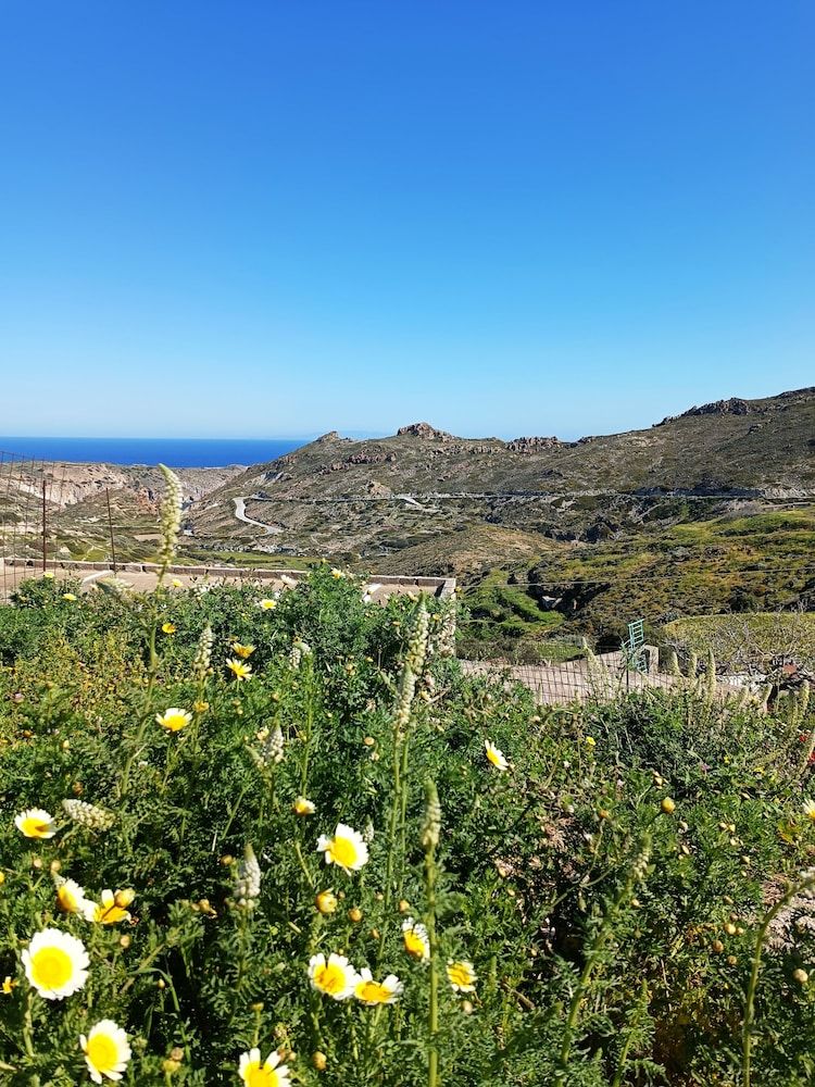 undefined Plakes Sea View Suites 4