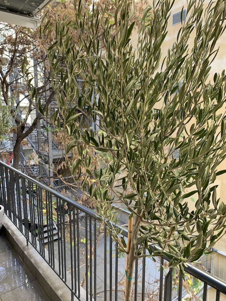 undefined The Point Thessaloniki 2