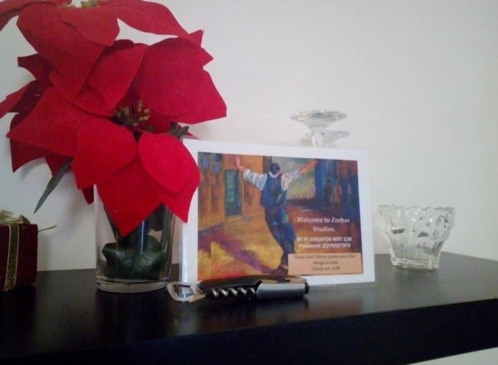 undefined Zorbas Studio 6