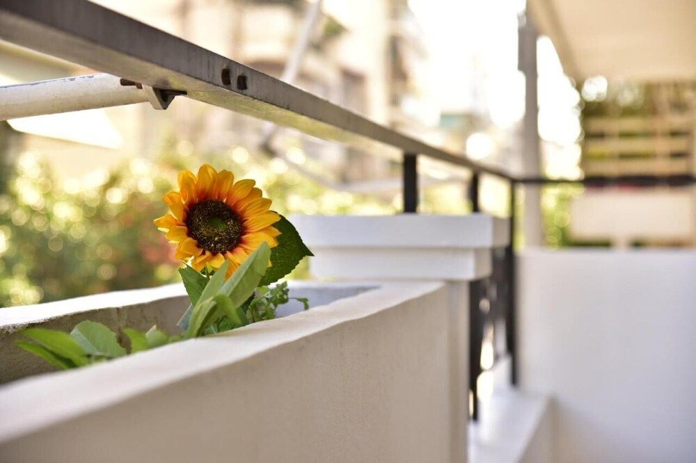 undefined Piraeus Class Apt GTD8324 3