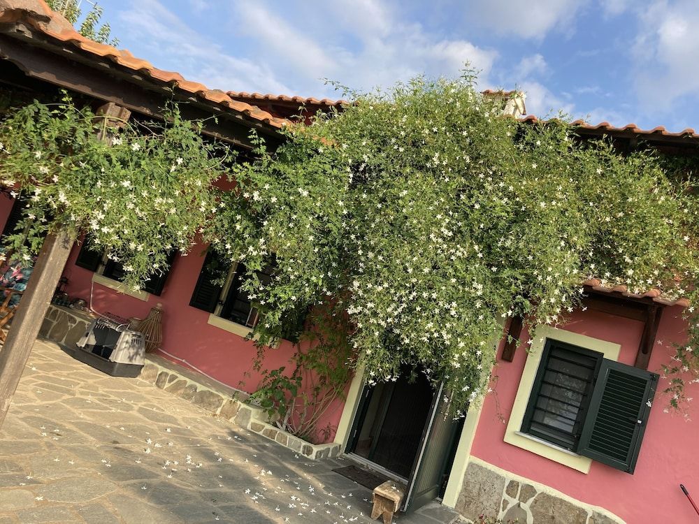 House, Multiple Beds