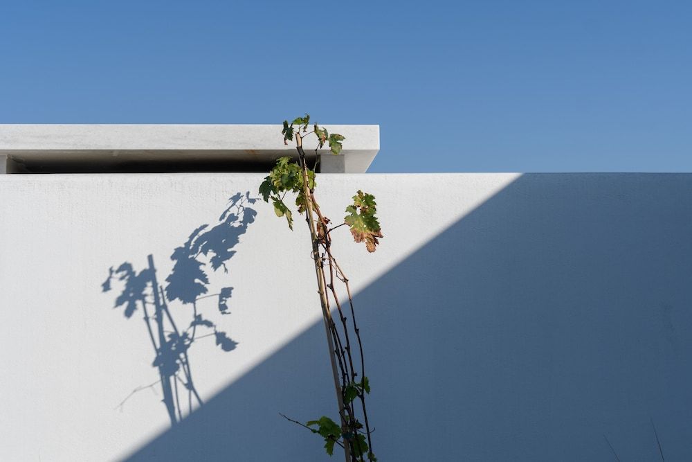 undefined Samsara - Santorini Luxury Retreat 8