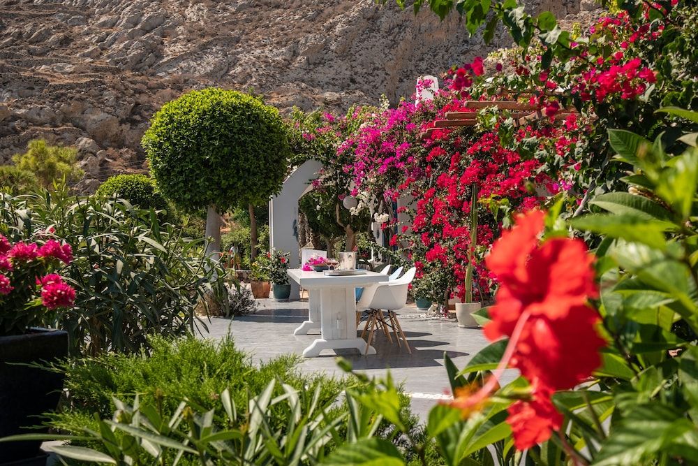 undefined Santorini Mystique Garden 4