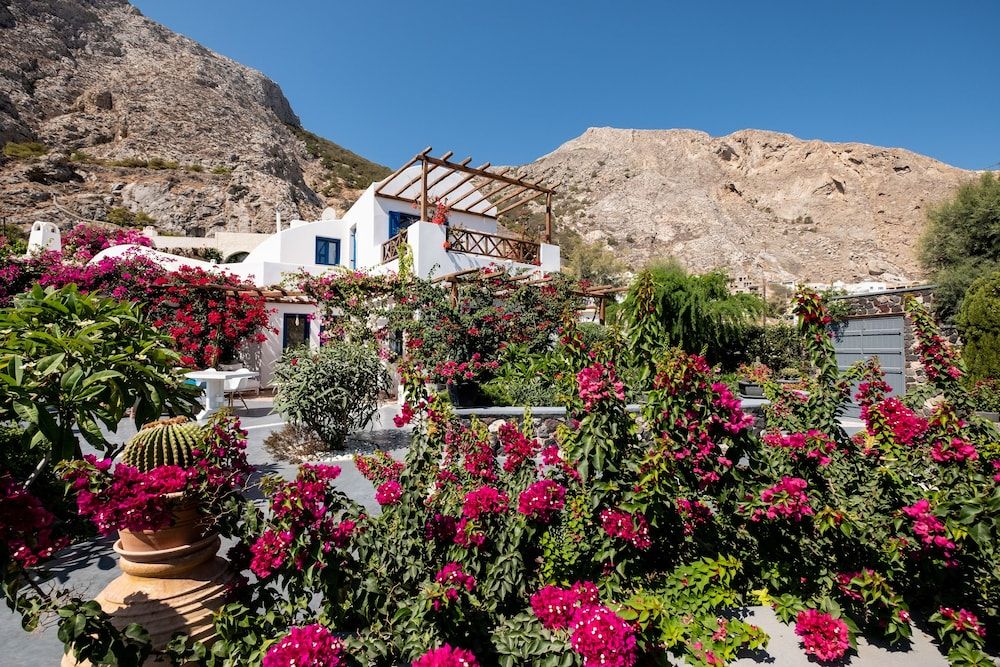 undefined Santorini Mystique Garden 3