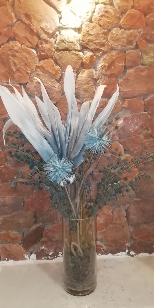 Fotinos Houses Honeymoon Studio Suite 6