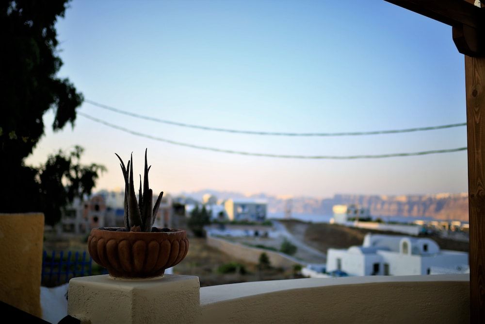 undefined My Catsle Cave est 1899 6