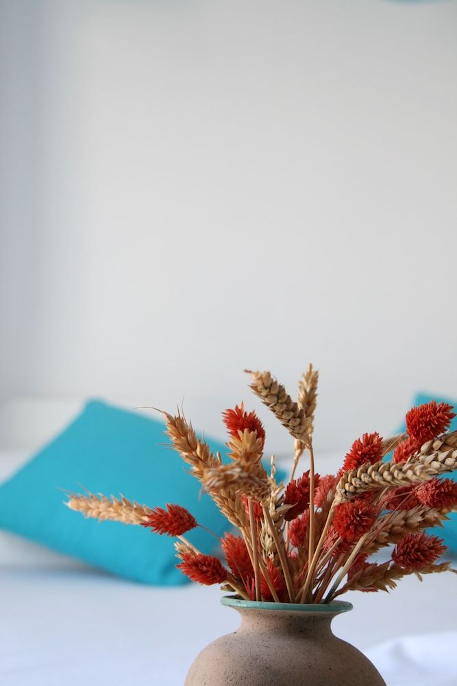 Spiros & Hiroko Hotel - Adults Only Standard Room (Adults Only) 17