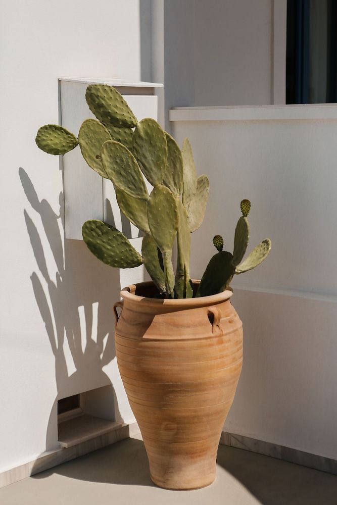 undefined The Z Private Villa Santorini 3