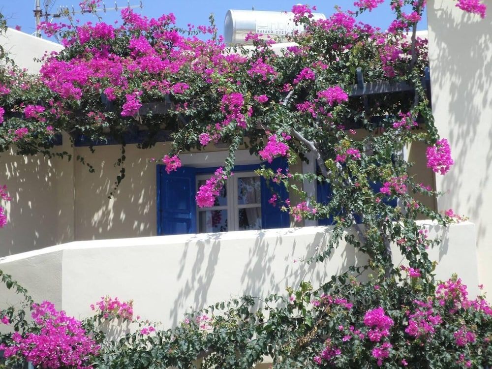 undefined Santorious Flower Covered Apartment 2