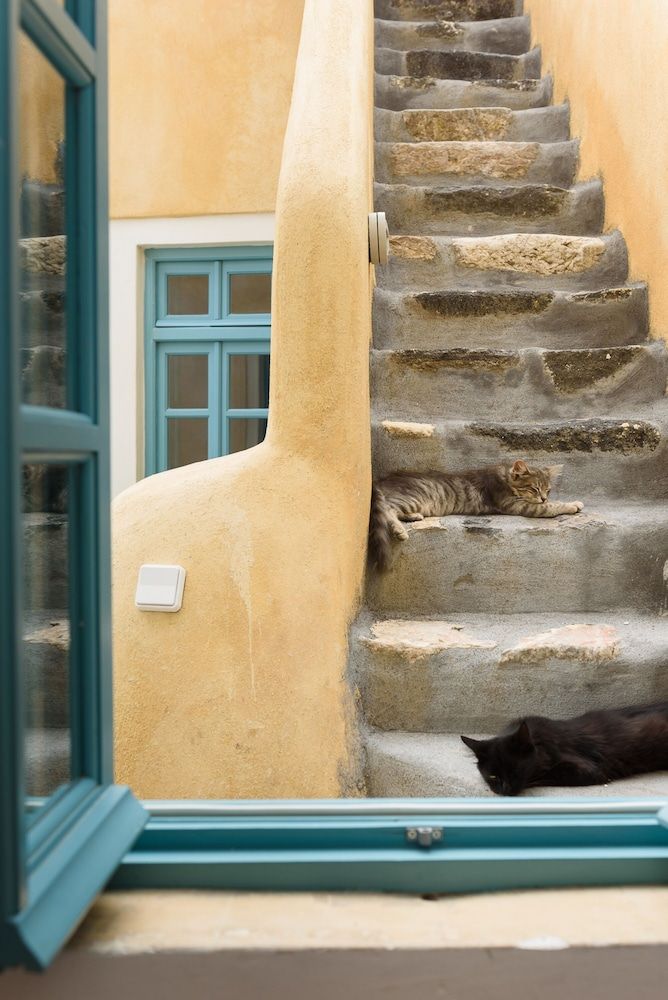 undefined Santorinio Yellow House 9