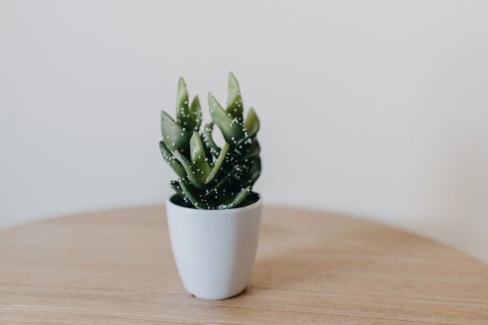 Best House Nirvana Patra Comfort Studio, 1 Bedroom, Balcony, Mountain View 17