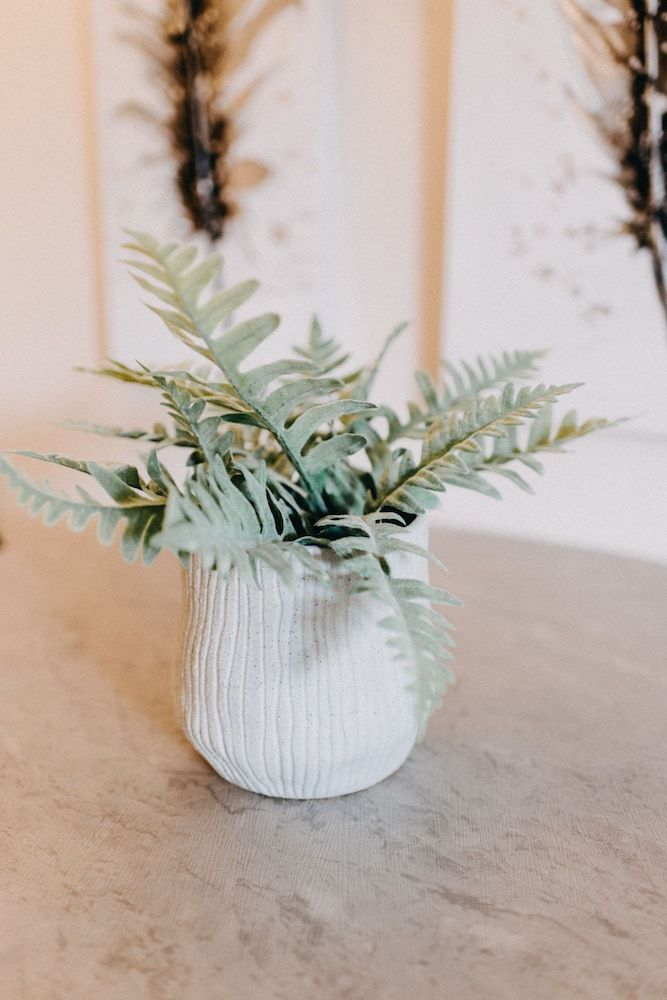 Best House Central Luxury Apartment Deluxe Apartment, 1 Queen Bed with Sofa bed, Kitchen, Courtyard View 18