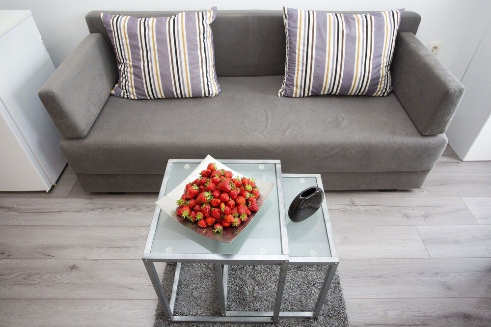 Apartments Silver Tree Studio 10