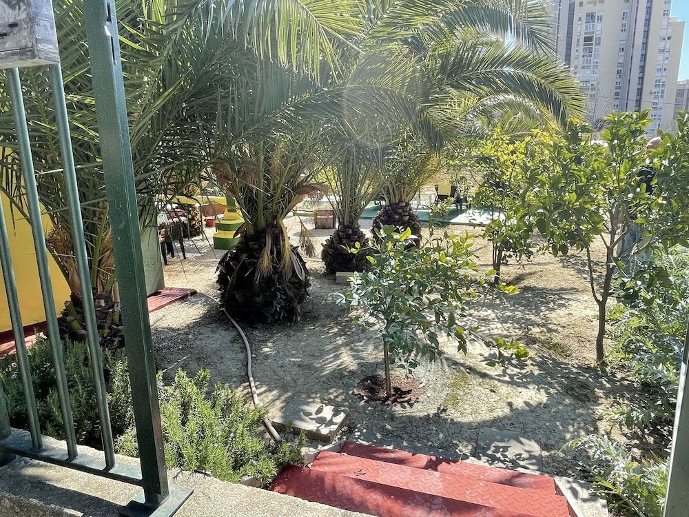undefined Oasis in Split Near the Center 2