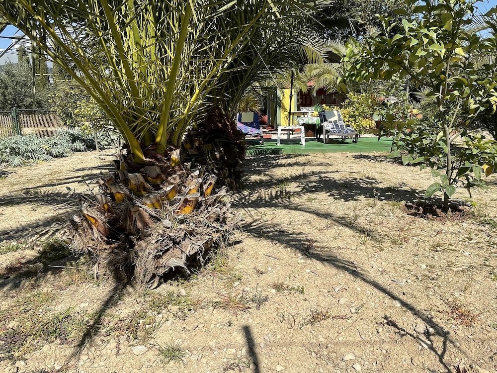 Oasis in Split Near the Center Apartment, 1 Bedroom, Garden View 14