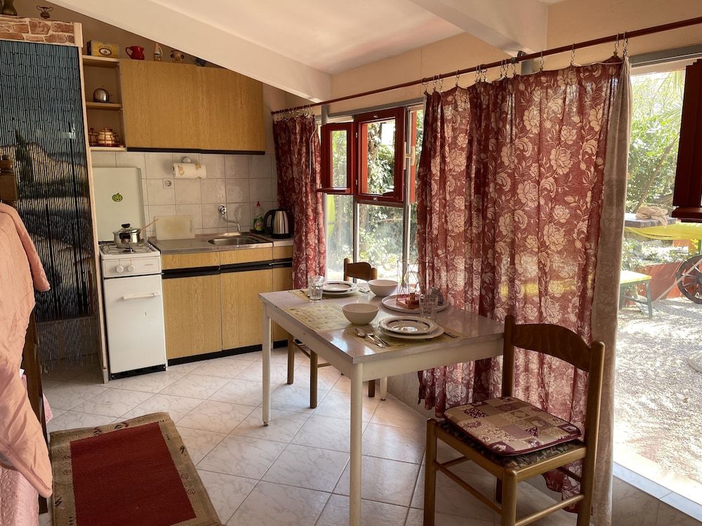 undefined Oasis in Split Near the Center 7