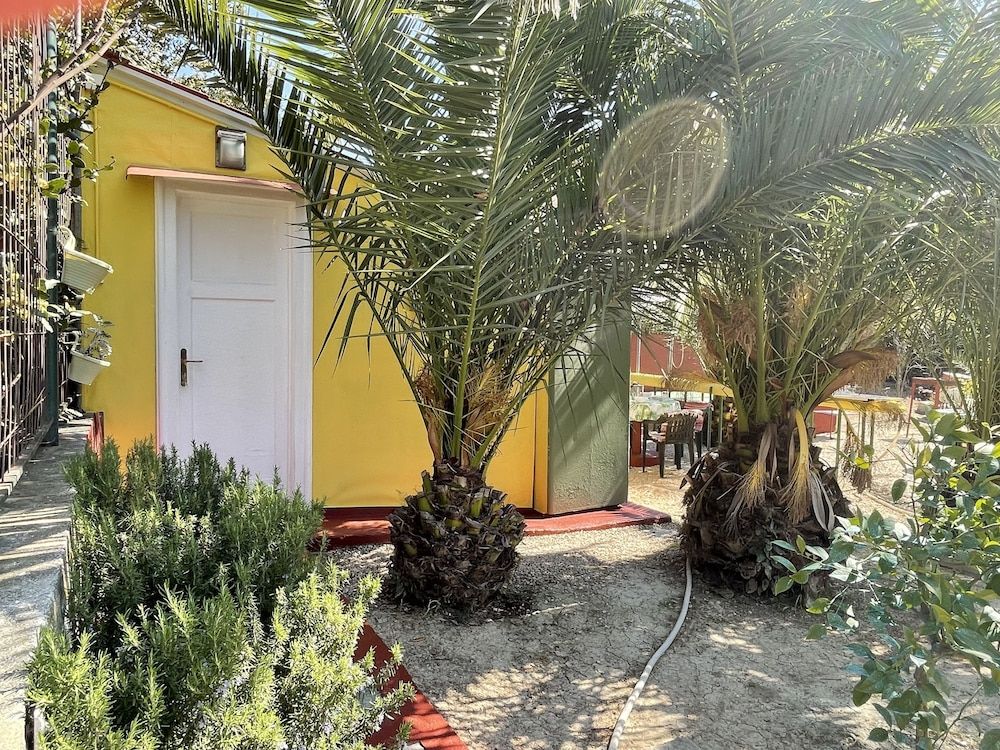 undefined Oasis in Split Near the Center