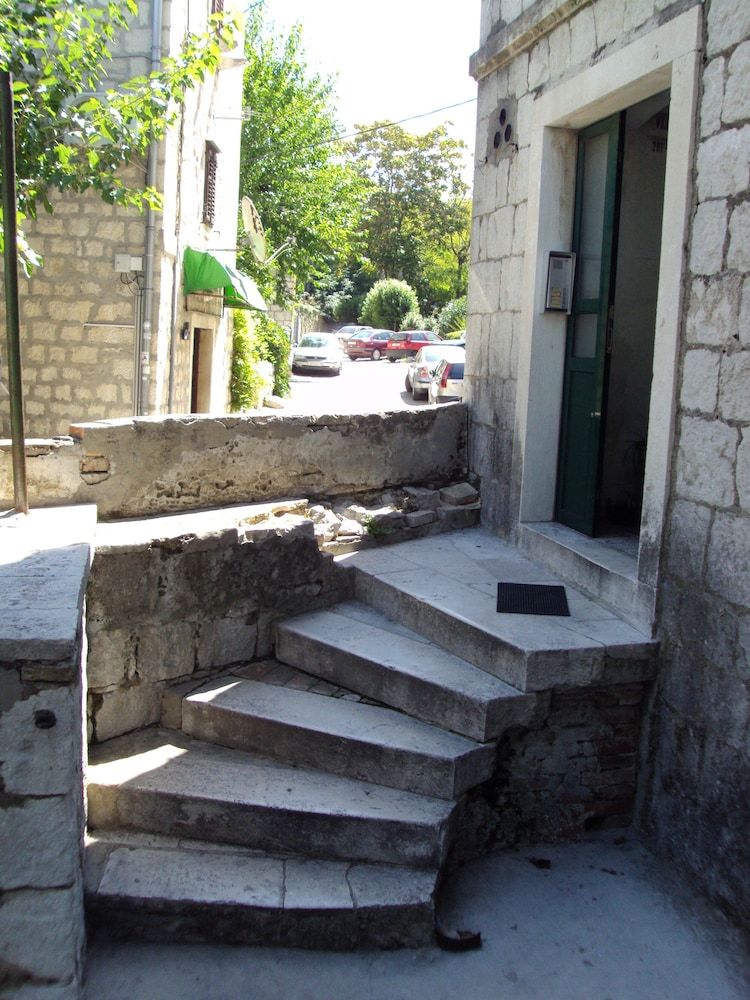 undefined Happy Jackdaw in the Center of Split