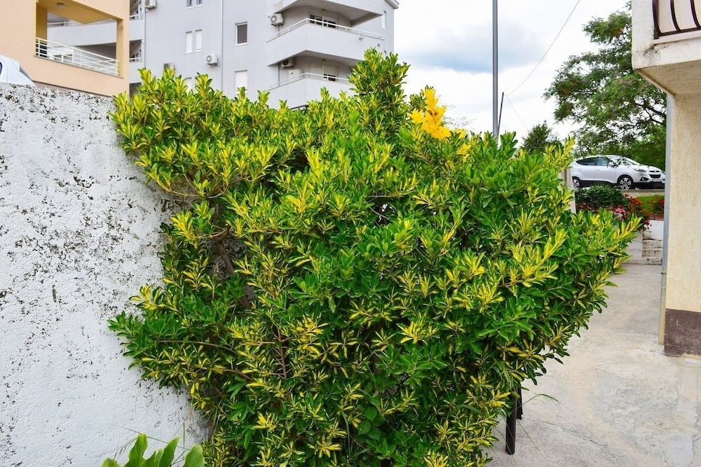 undefined Jurica - 300 m From sea - A1 Lea 5