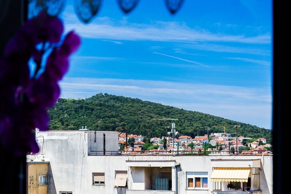 undefined Dragica - Central - A2 9