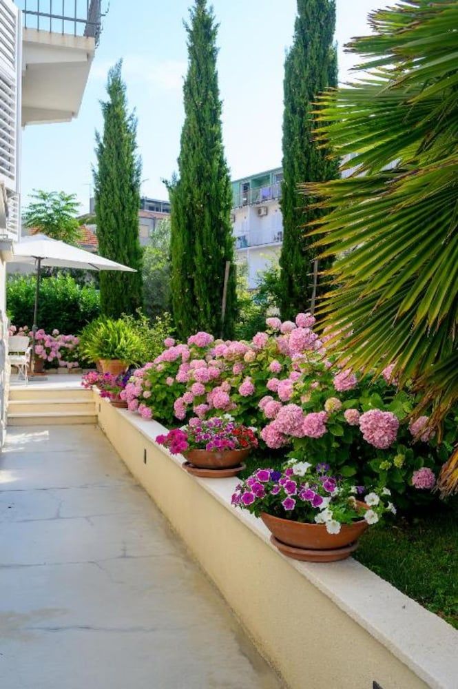 undefined Palace Schon Milesi 7