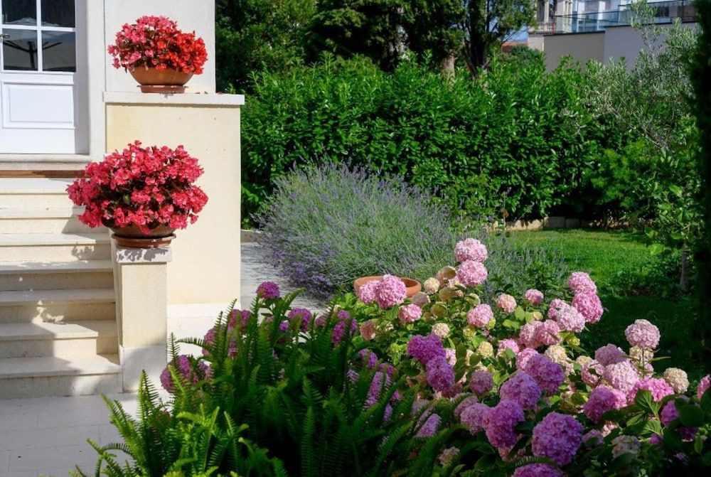 undefined Palace Schon Milesi 8