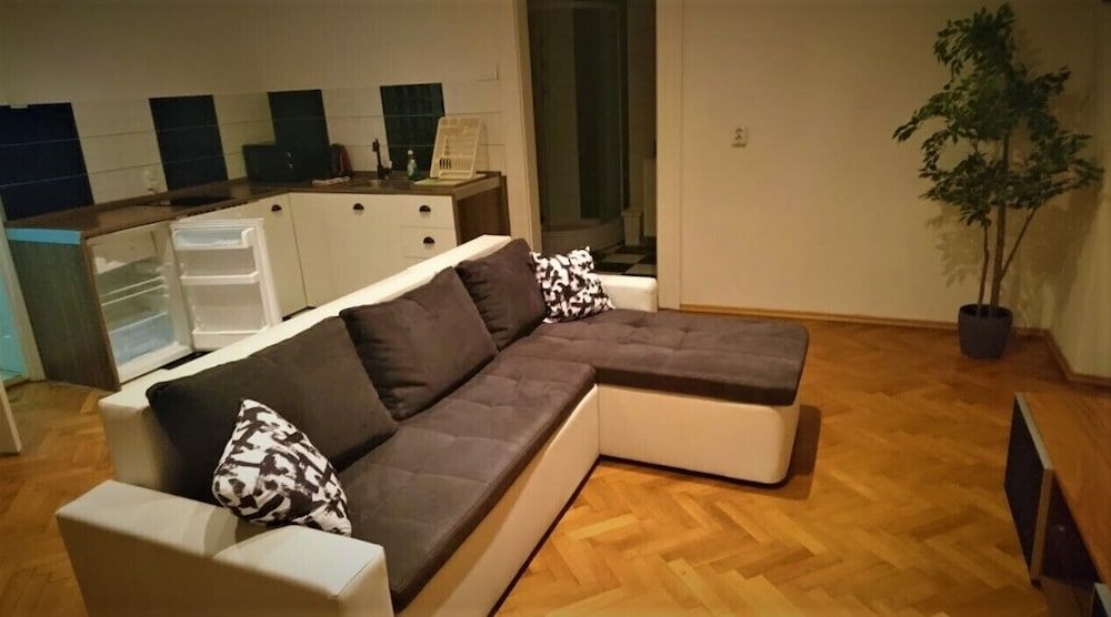 Villa Tončić Apartment, 1 Bedroom (Black & White) 10