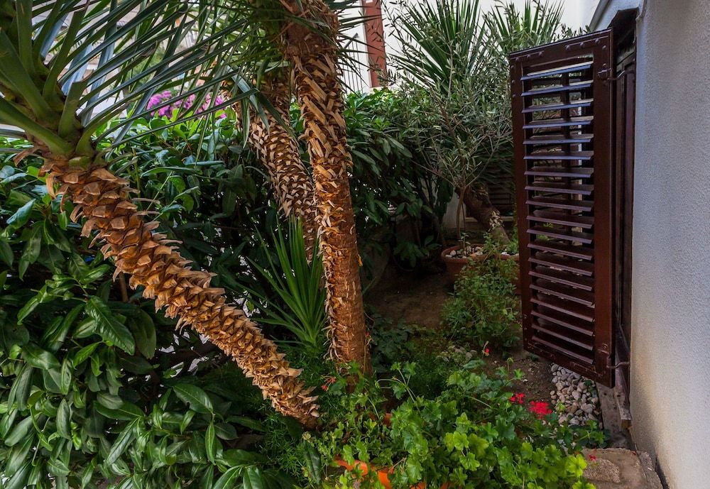 Guest House Marija in perfect location Studio 6