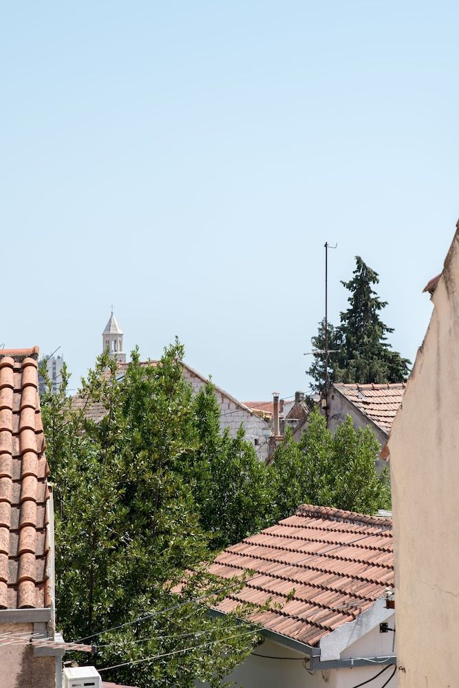 Wind Rose Split Studio 18